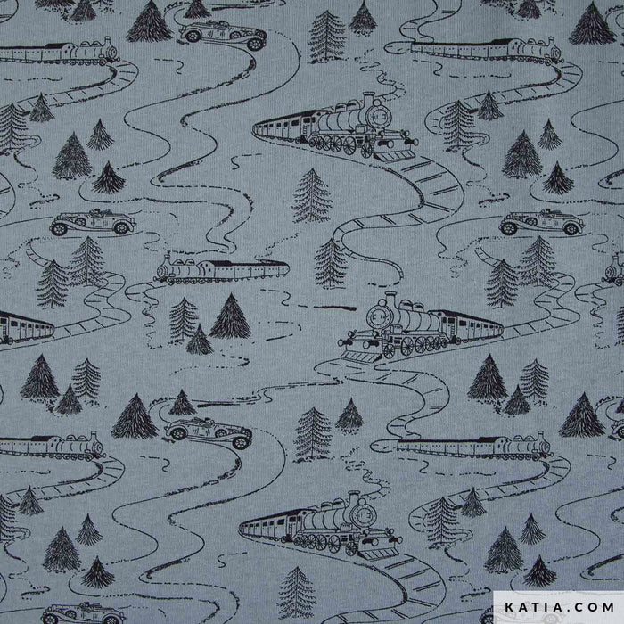 Winter Sweat Vintage trains