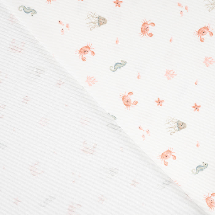 2x2 Rib Sea Ecru Tissus Quality Textiles 