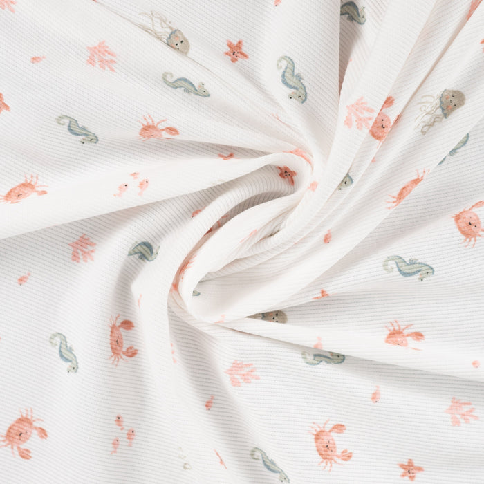 2x2 Rib Sea Ecru Tissus Quality Textiles 