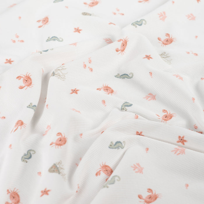 2x2 Rib Sea Ecru Tissus Quality Textiles 