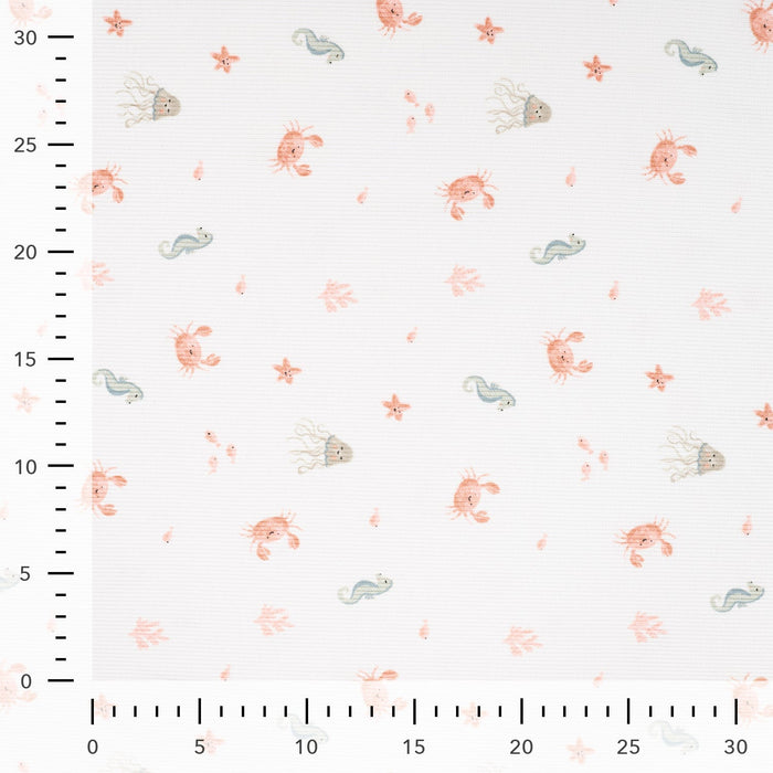 2x2 Rib Sea Ecru Tissus Quality Textiles 