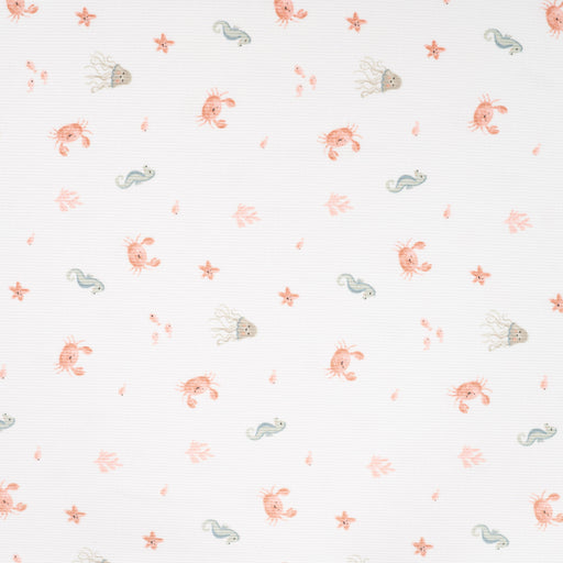 2x2 Rib Sea Ecru Tissus Quality Textiles 