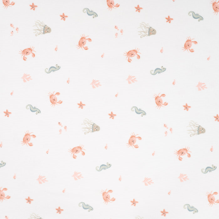 2x2 Rib Sea Ecru Tissus Quality Textiles 