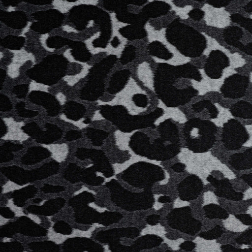 Brushed Jacquard Leopard Tissus Quality Textiles 