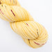 Chaussettes - Nectar de mirabelles Tricot (Vi)laines 