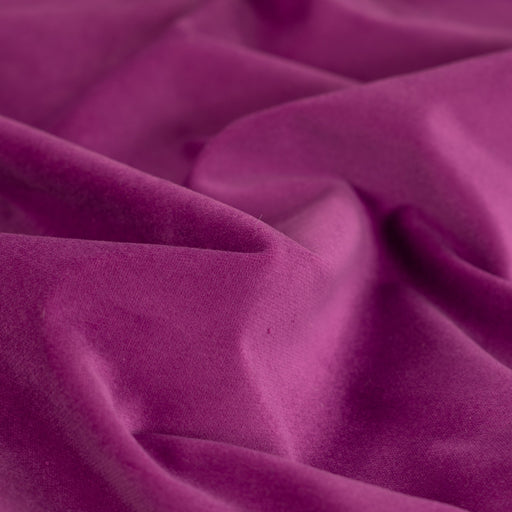 Cotton velvet cyclam Tissus Quality Textiles 