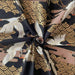 Coupon Tissu Japonais - Grues Dorées sur Noir Élégant - NAKA FABRICS Tissus Naka Fabrics 