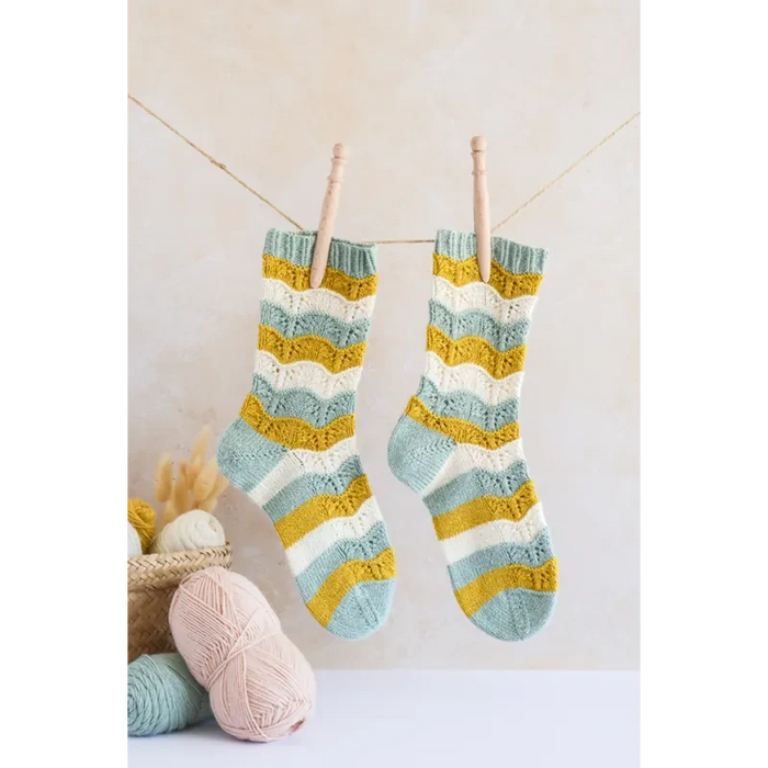 GUIDE EXPERT CHAUSSETTES AU TRICOT Livre Les éditions de saxe 