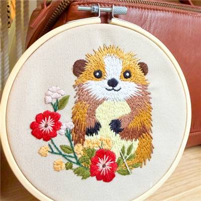 KIT BRODERIE AVEC TAMBOUR 15 CM - AMI DU JARDIN Broderie MILPOINT 
