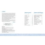 LA BRODERIE SASHIKO - LES TECHNIQUES ESSENTELLES EN 10 MODELES Livre Mango 