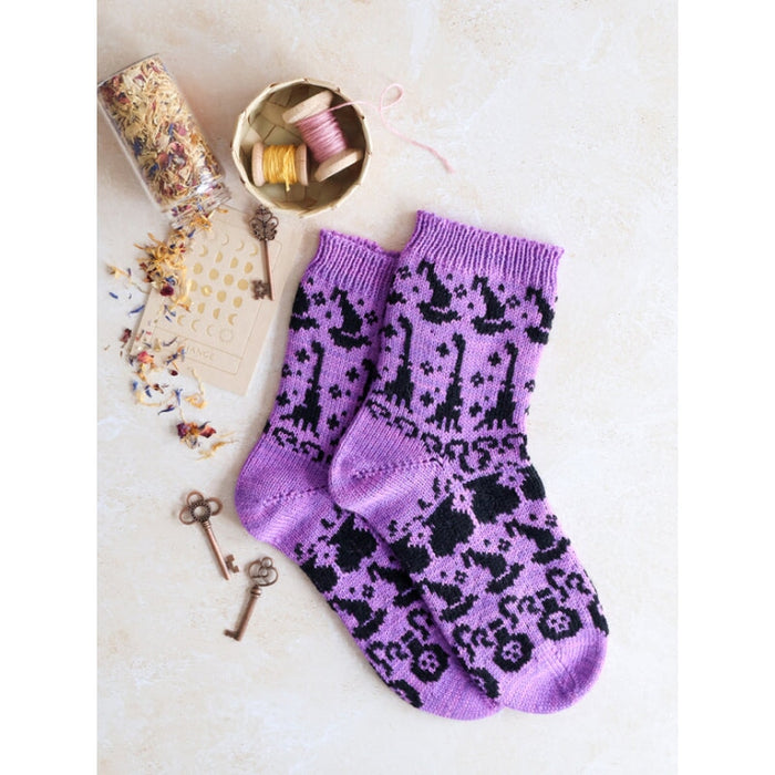 LE GUIDE DES CHAUSSETTES AU TRICOT JACQUARD Livre Les éditions de saxe 