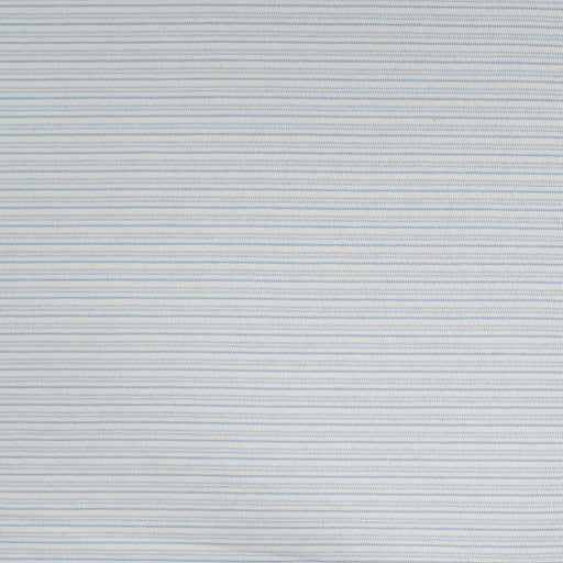 Tree Skin Yarn Dyed Ecru Tissus Quality Textiles 