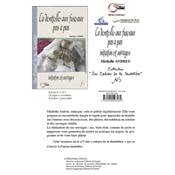 La dentelle aux fuseaux pas à pas - Michelle Andreu Livre Editions du Fournel 