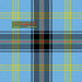 Tartan Écossais - Tissu traditionnel - Fait main en Écosse - Bell of the Borders (Dalgliesh) Tissus DC Dalgliesh 