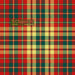 Tartan Écossais - Tissu traditionnel - Fait main en Écosse - Strathearn #2 (Dalgliesh) Tissus DC Dalgliesh 